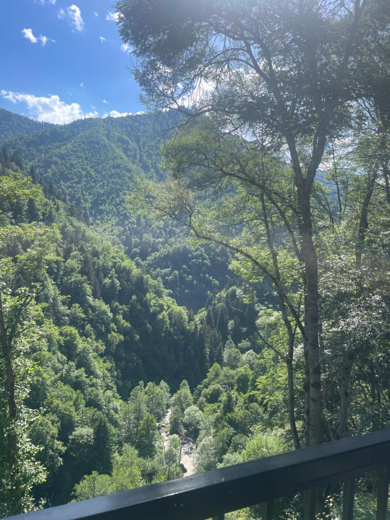 Cottage Orcs Borjomi Bagian luar foto